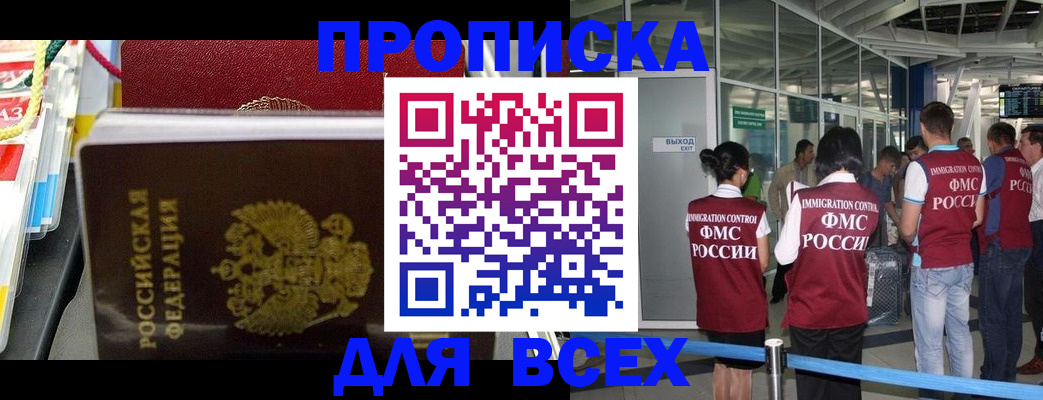 форма 3 в Сольцах